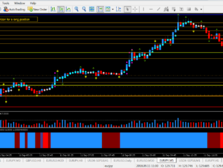 Best Forex Trading Software Anna Coulling - 